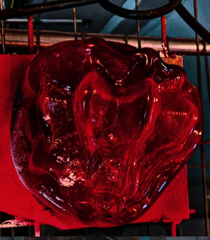 GEMESIS: Cast Organisms