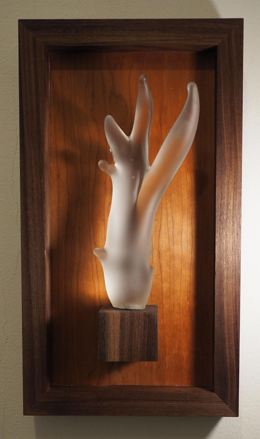 A single frosted glass antler in a lit walnut case