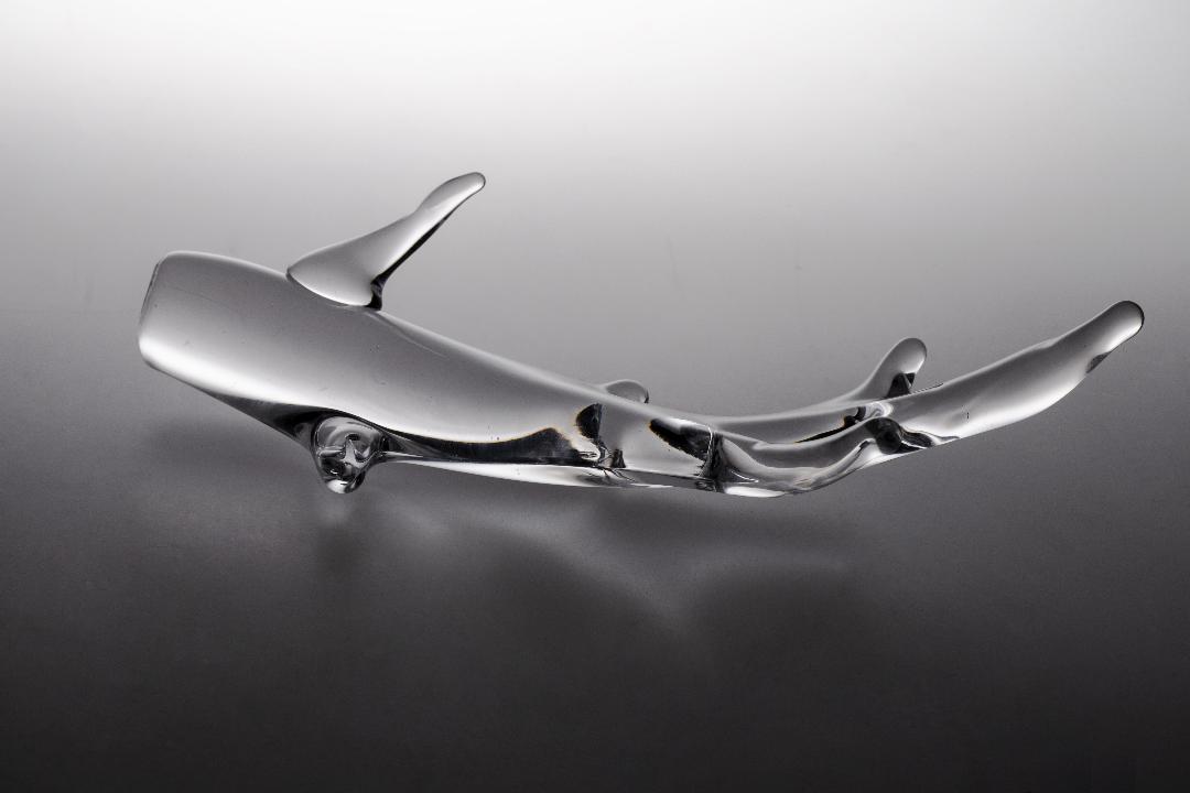 A clear glass antler, studio shot